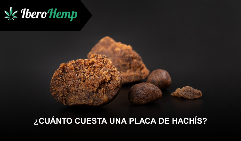 ¿Cuánto cuesta una placa de hachís en España en 2025?