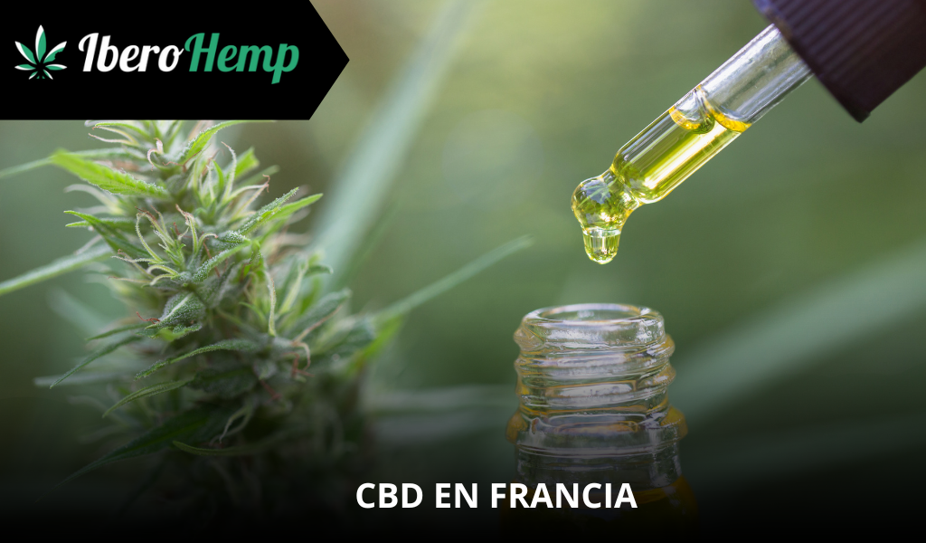 CBD en Francia: ¿Se puede viajar con CBD? Legalidad y Regulaciones