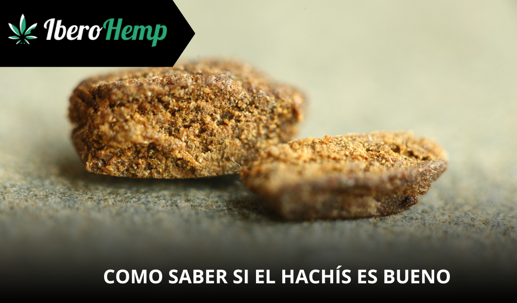 ¿Cómo saber si el hachís es bueno y de calidad?