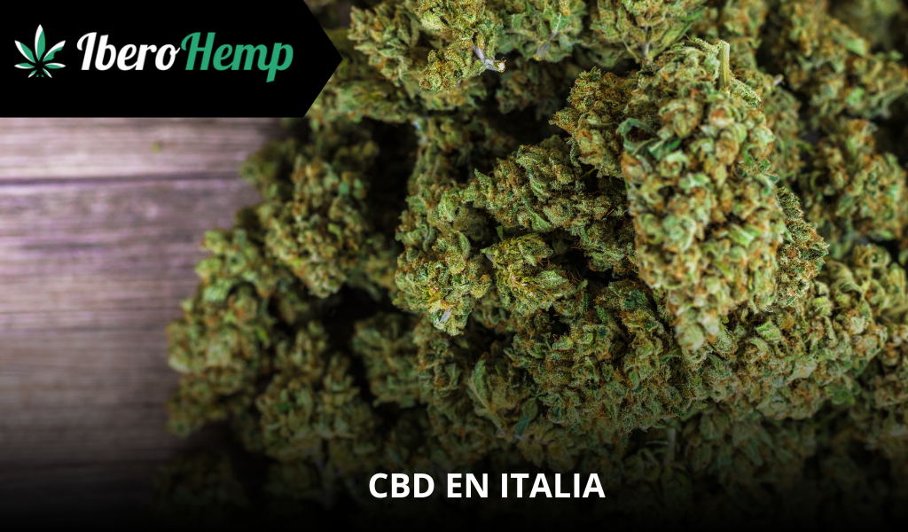 CBD en Italia: Legalidad, regulaciones y dónde Comprar