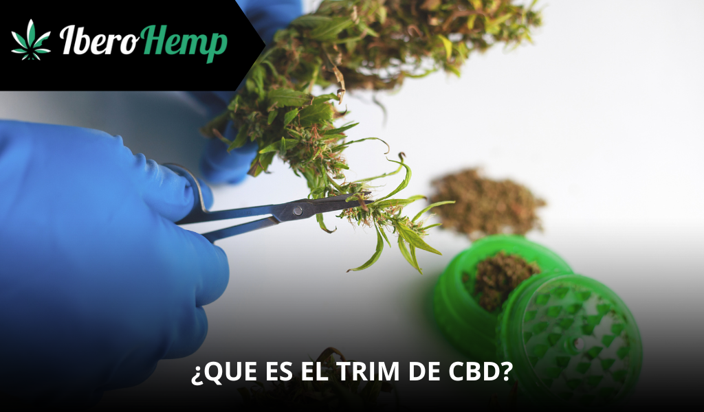 ¿Qué es el Trim de CBD?
