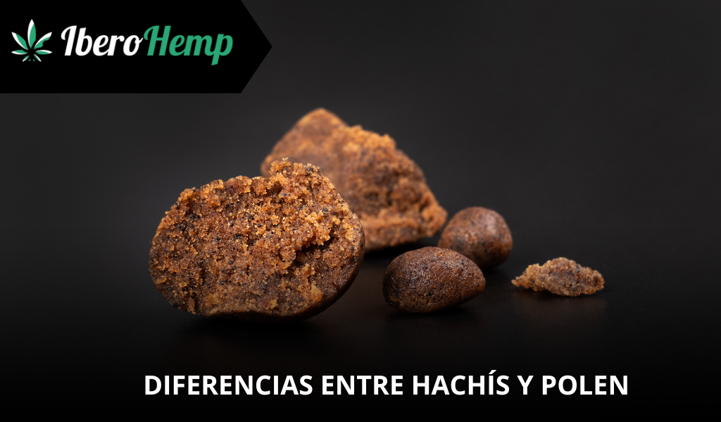 ¿Cuáles son las diferencias entre Hachís y Polen?