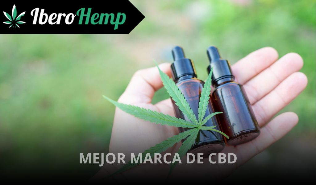 Las mejores marcas de CBD en España 2026: Descubre el Top 10