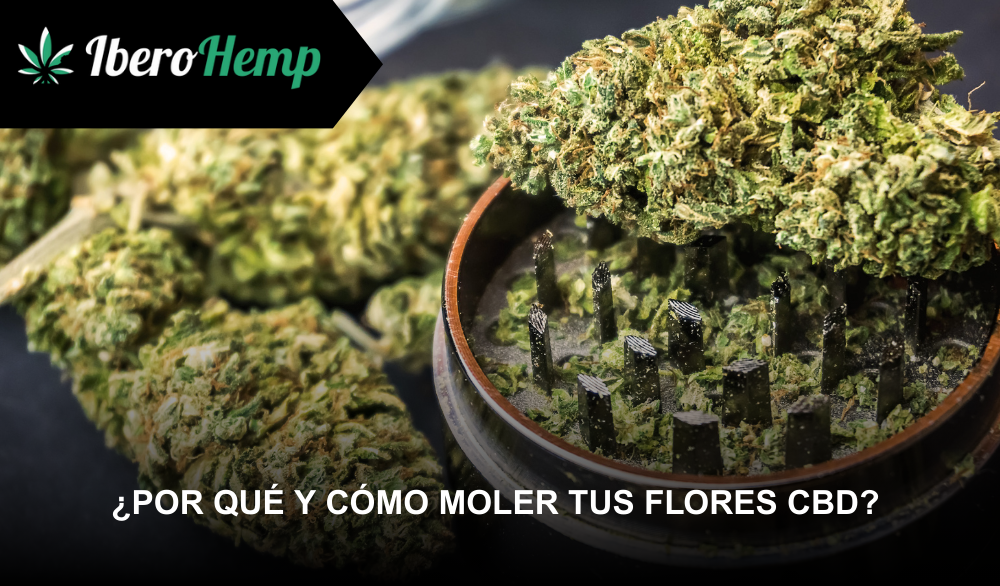 ¿Por qué y cómo moler tus flores CBD?