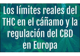Lo que nadie te cuenta sobre los limites del THC en el cannabis light