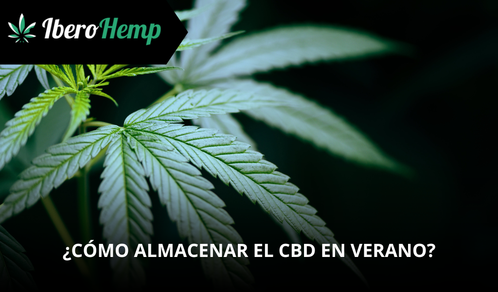 ¿Cómo almacenar o guardar el CBD en verano?