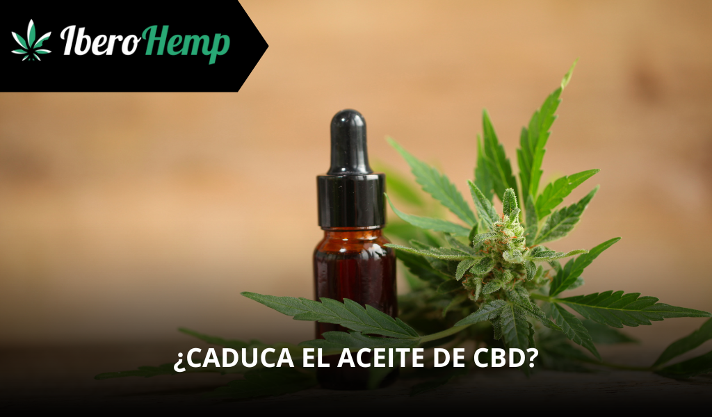 ¿Caduca el aceite de CBD? Así es cómo se almacena bien