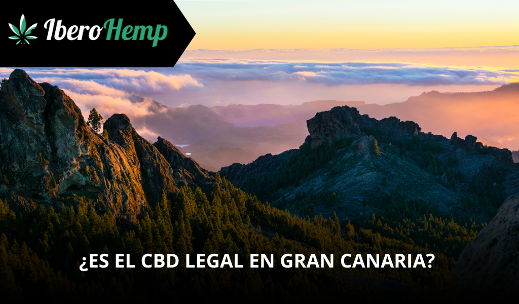 CBD legal en Gran Canaria