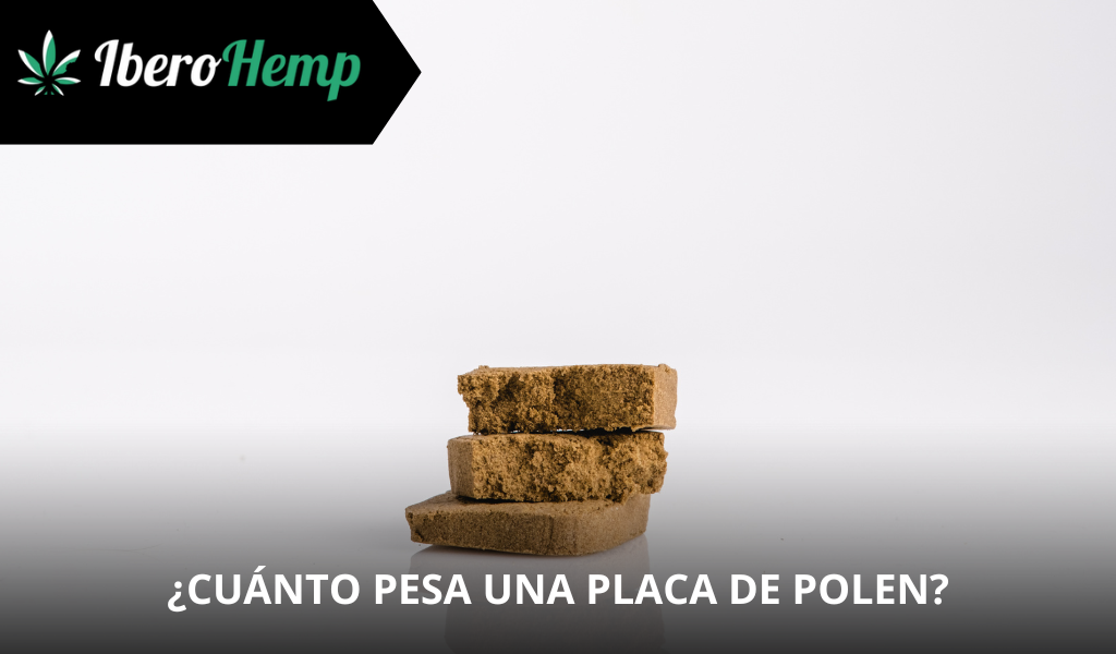 Cuánto pesa una placa de polen de CBD