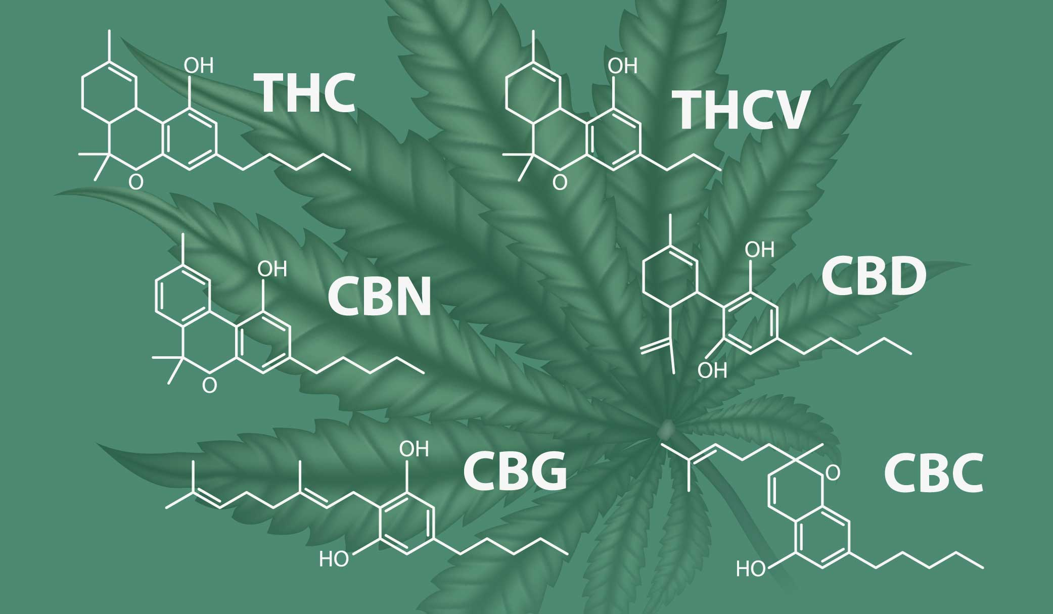 que es cbd thc hhc