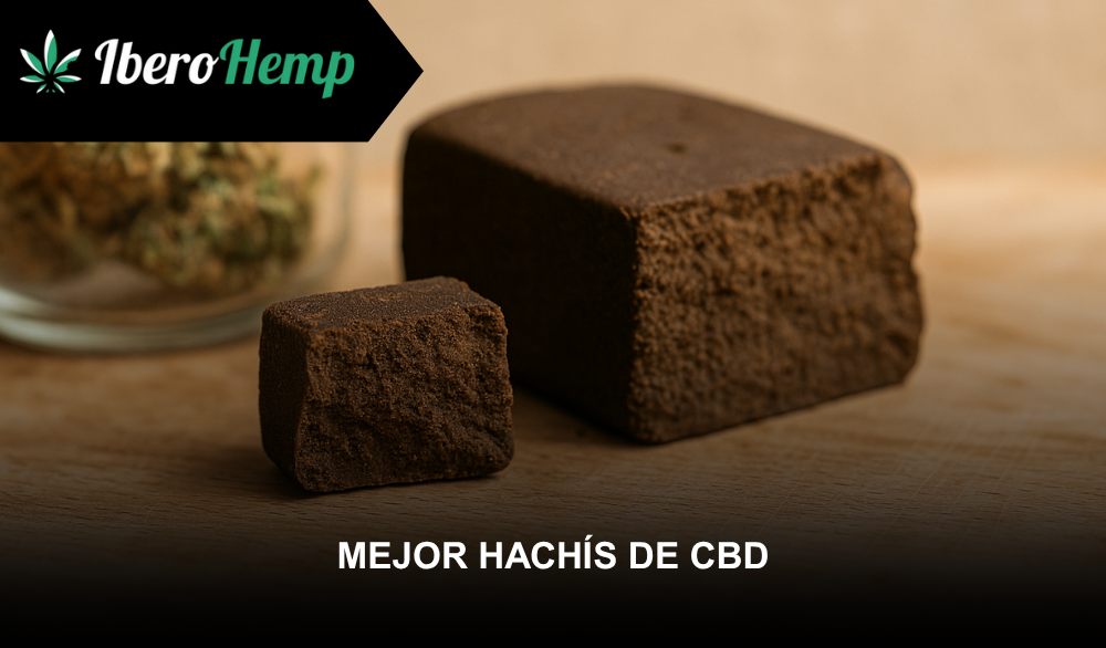 Mejores Hachís CBD 2026: Guía Completa para Comprar