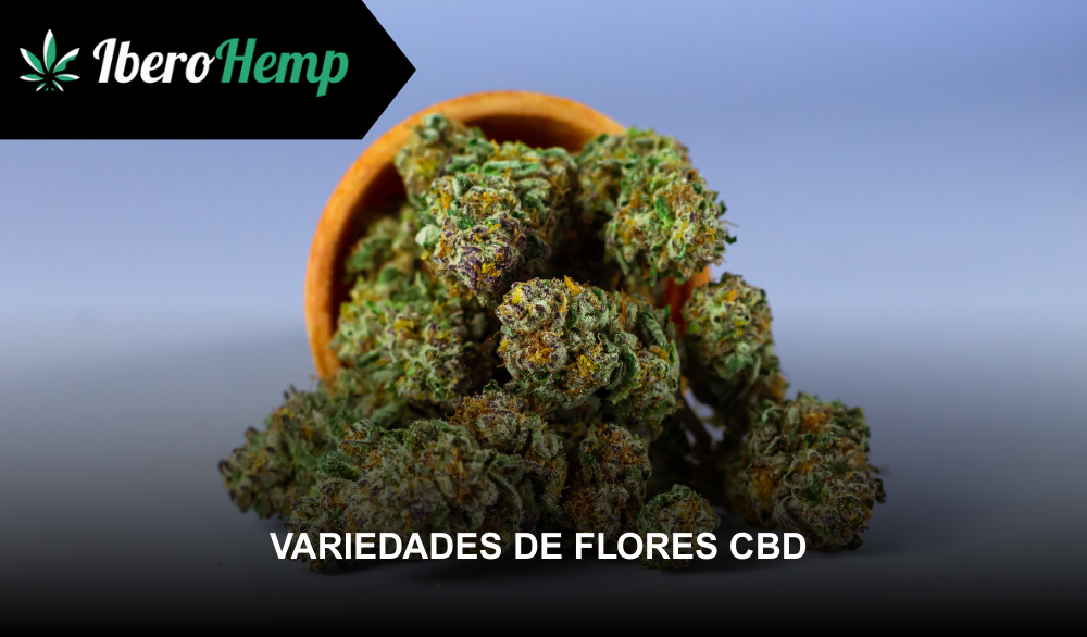 Top 5 variedades de flores CBD más aromáticas