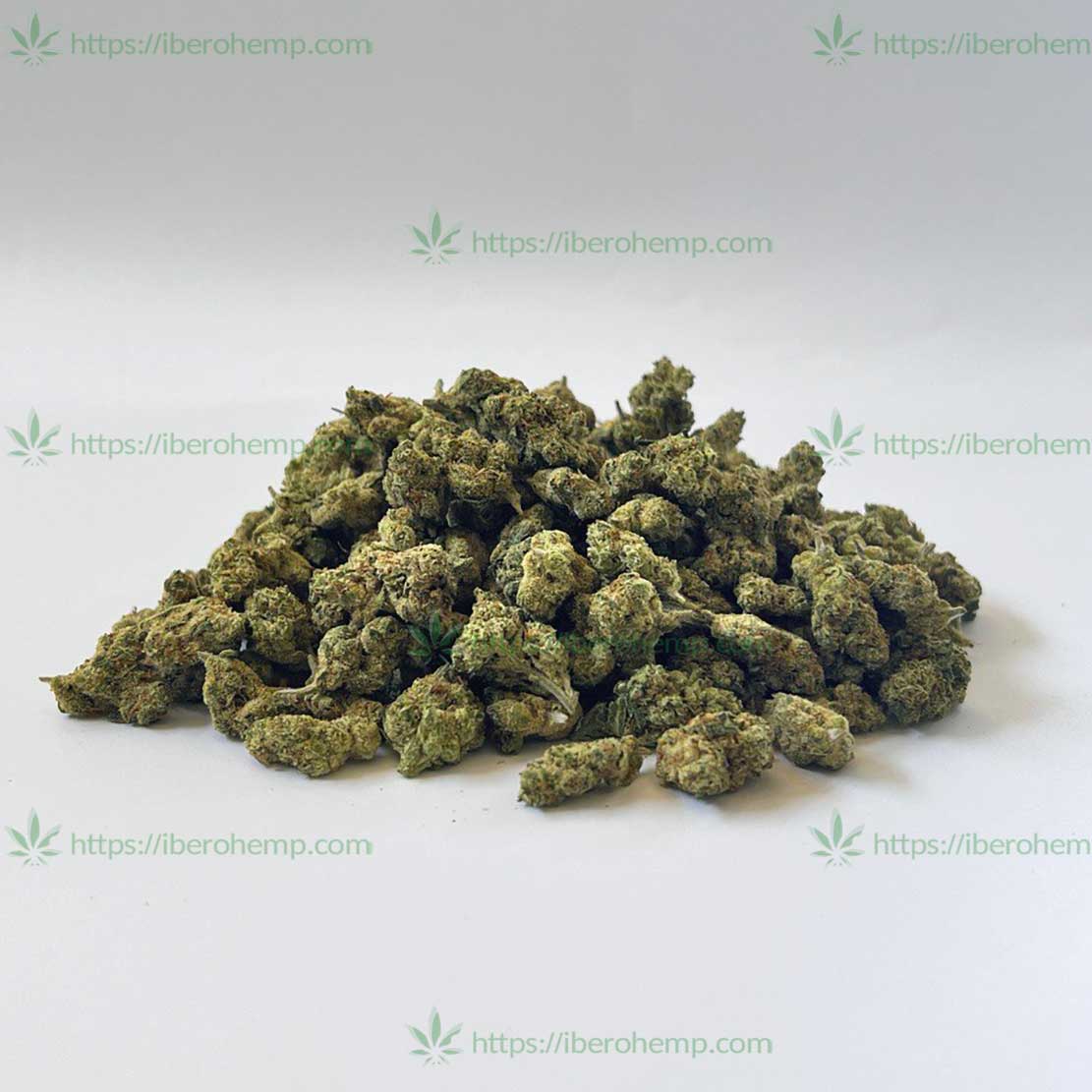 Northern Lights Mini-Knospen CBD (30 g – 500 g)
