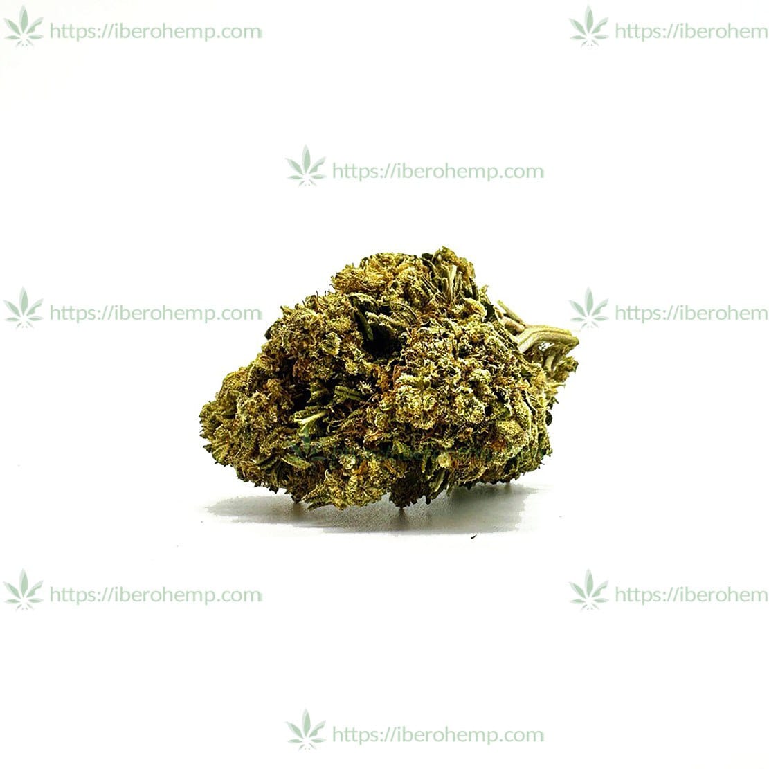 Flor de CBD - HARLEQUIN CBD