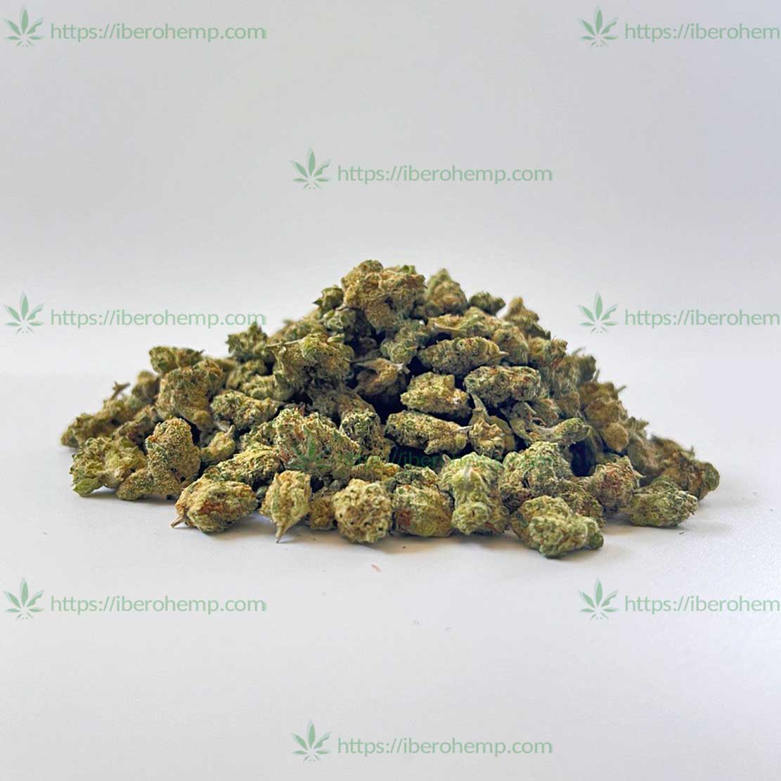 Amnesia Hidropónica MiniBuds CBD indoor (30g-500g)