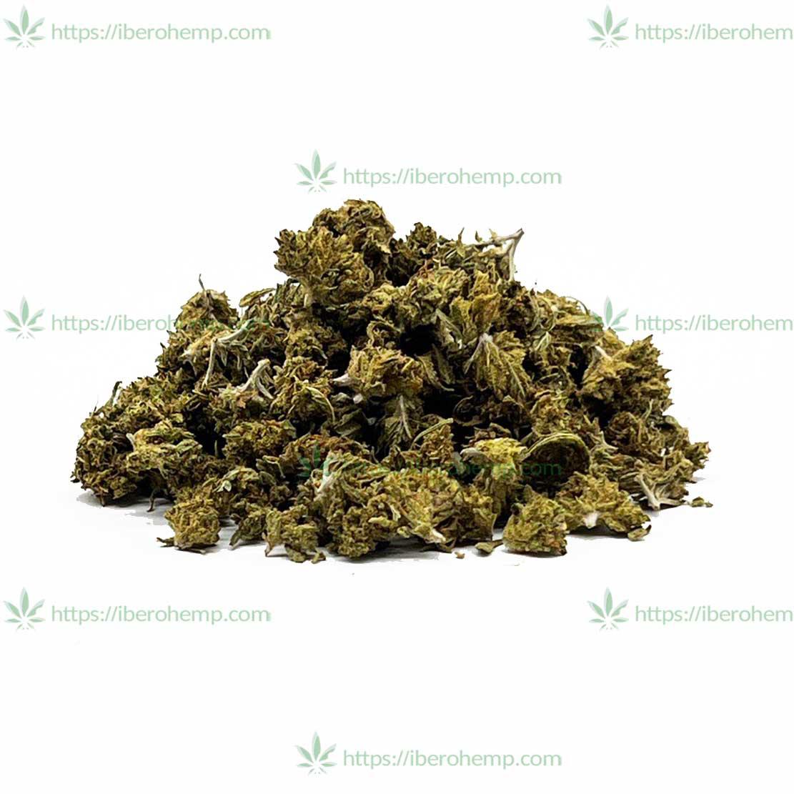 MiniBuds Citrus di Iberhemp CBD (30g-500g)