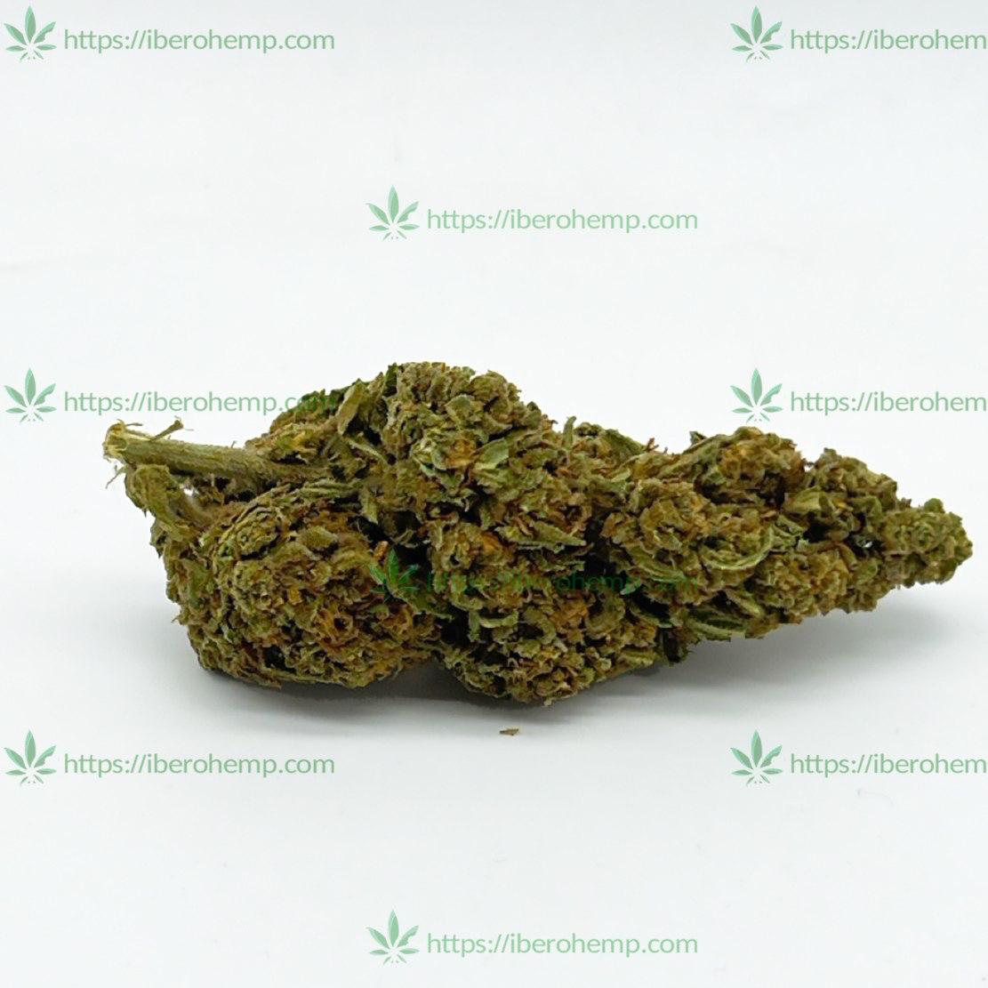Cheese CBD de IberoHemp 10g (420)