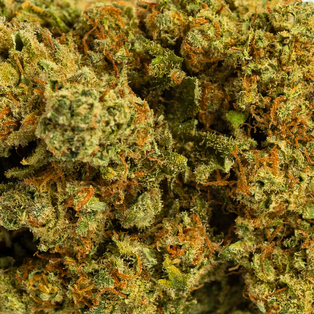 Amnesia interior hidropónico CBD 3 (10g-500g)