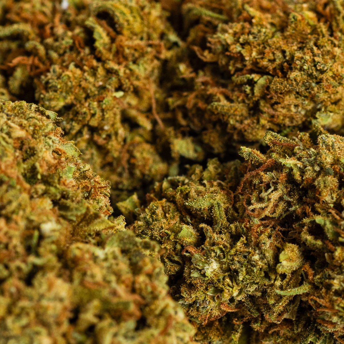 CBD Cheese by IberoHemp