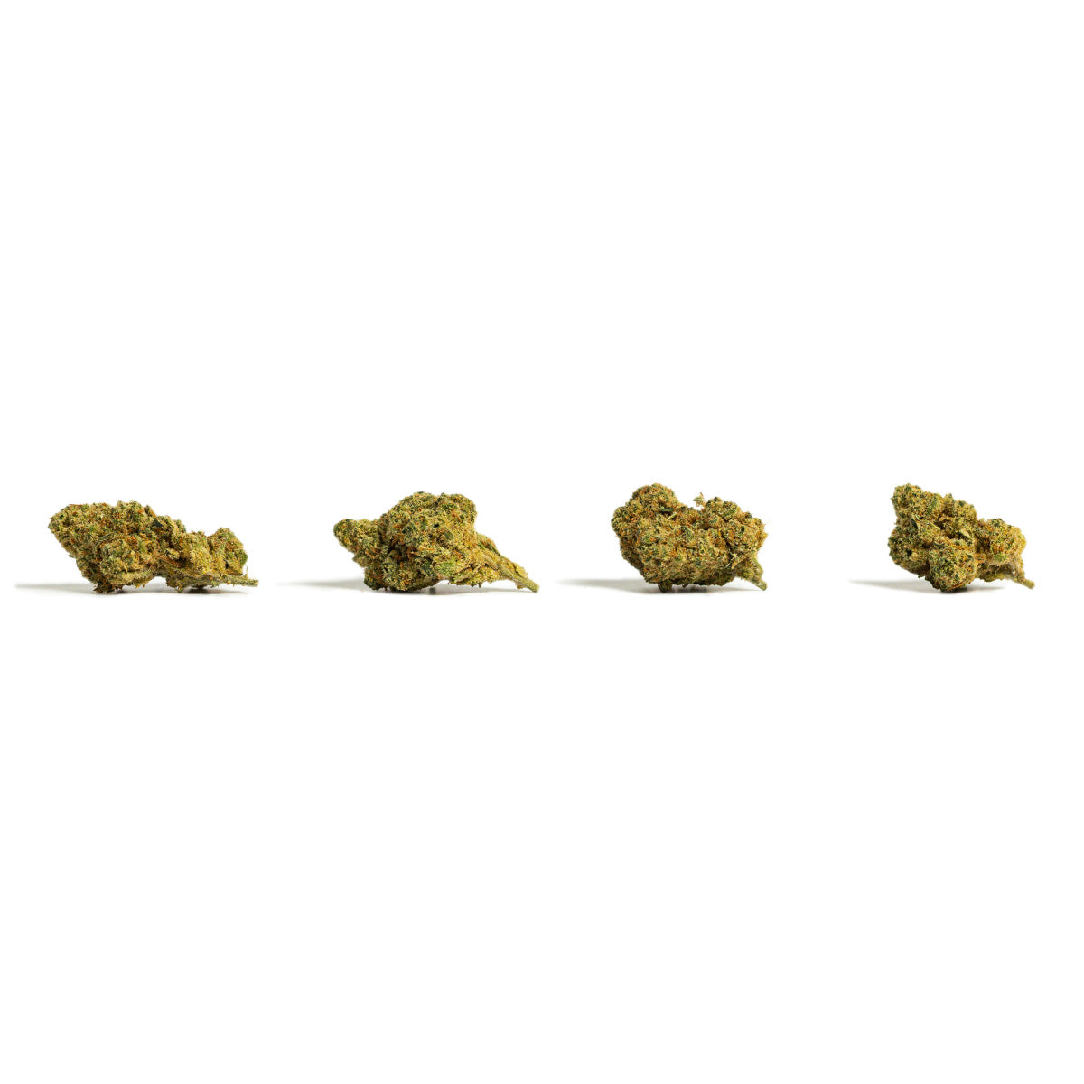 Pipocas Amnesia Greenhouse da Iberohemp CBD 2 (30g-500g)