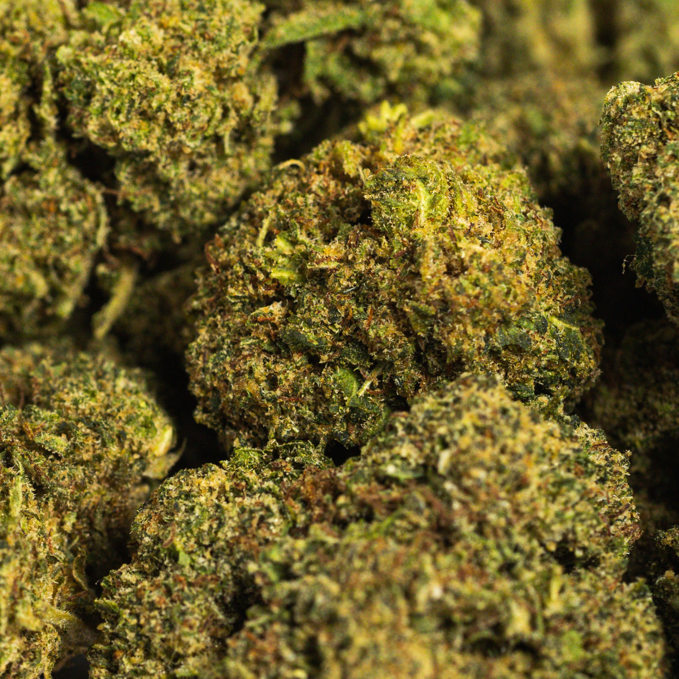 Candygaz CBD - Pop Corn - Small Buds