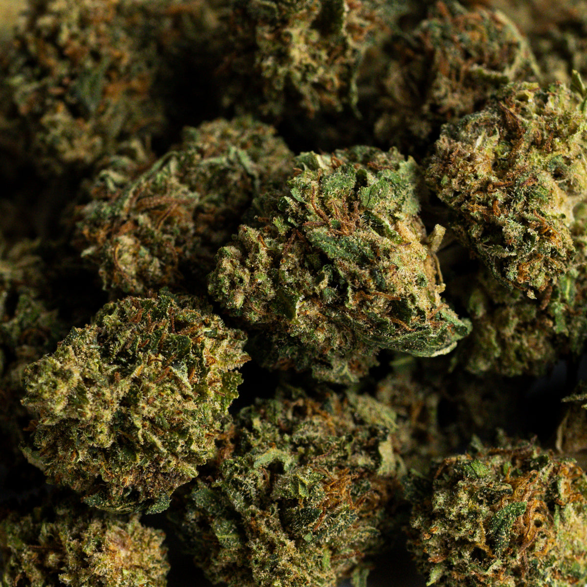 Blue Tonic Pop CBD