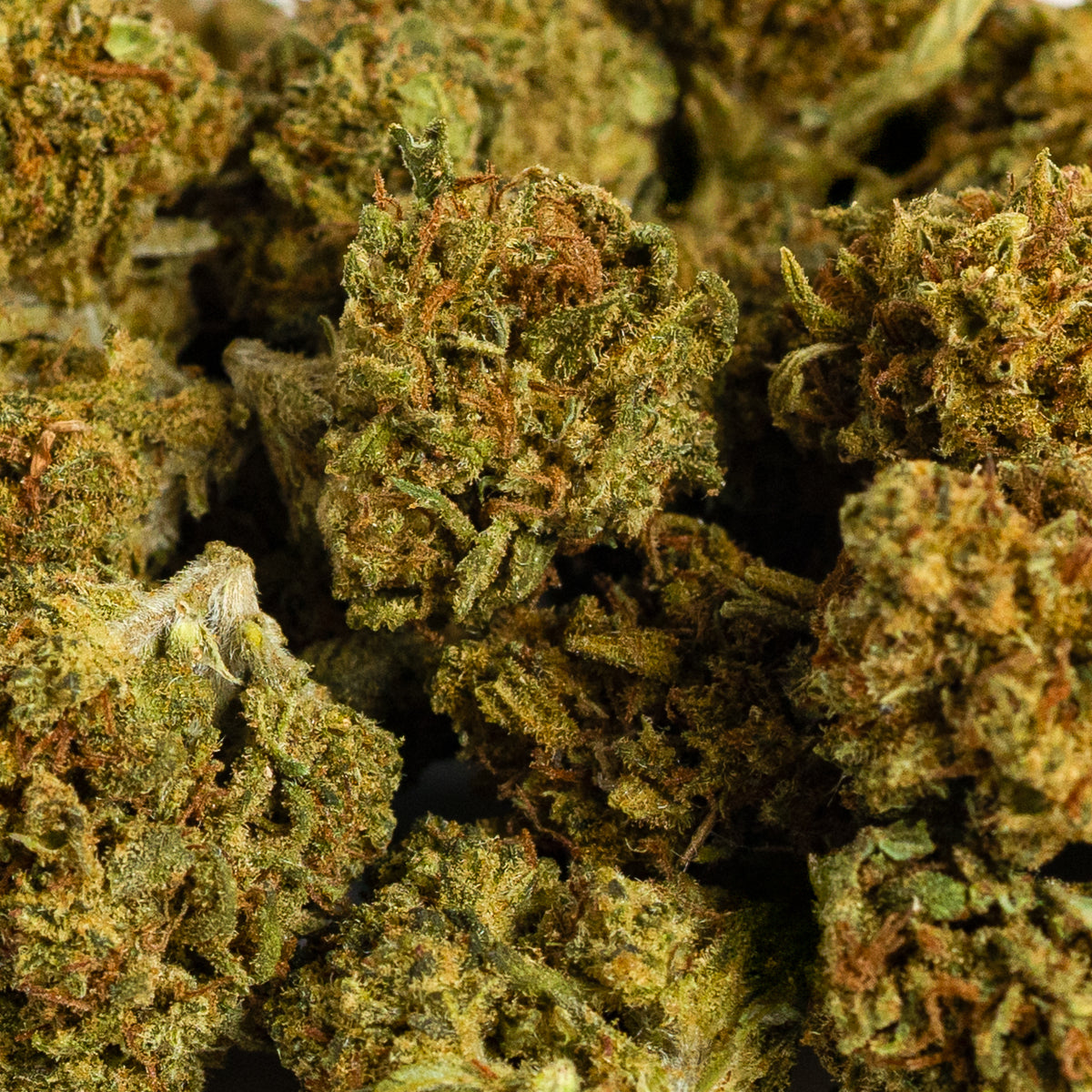 Pipocas Cítricas CBD (30g-500g)