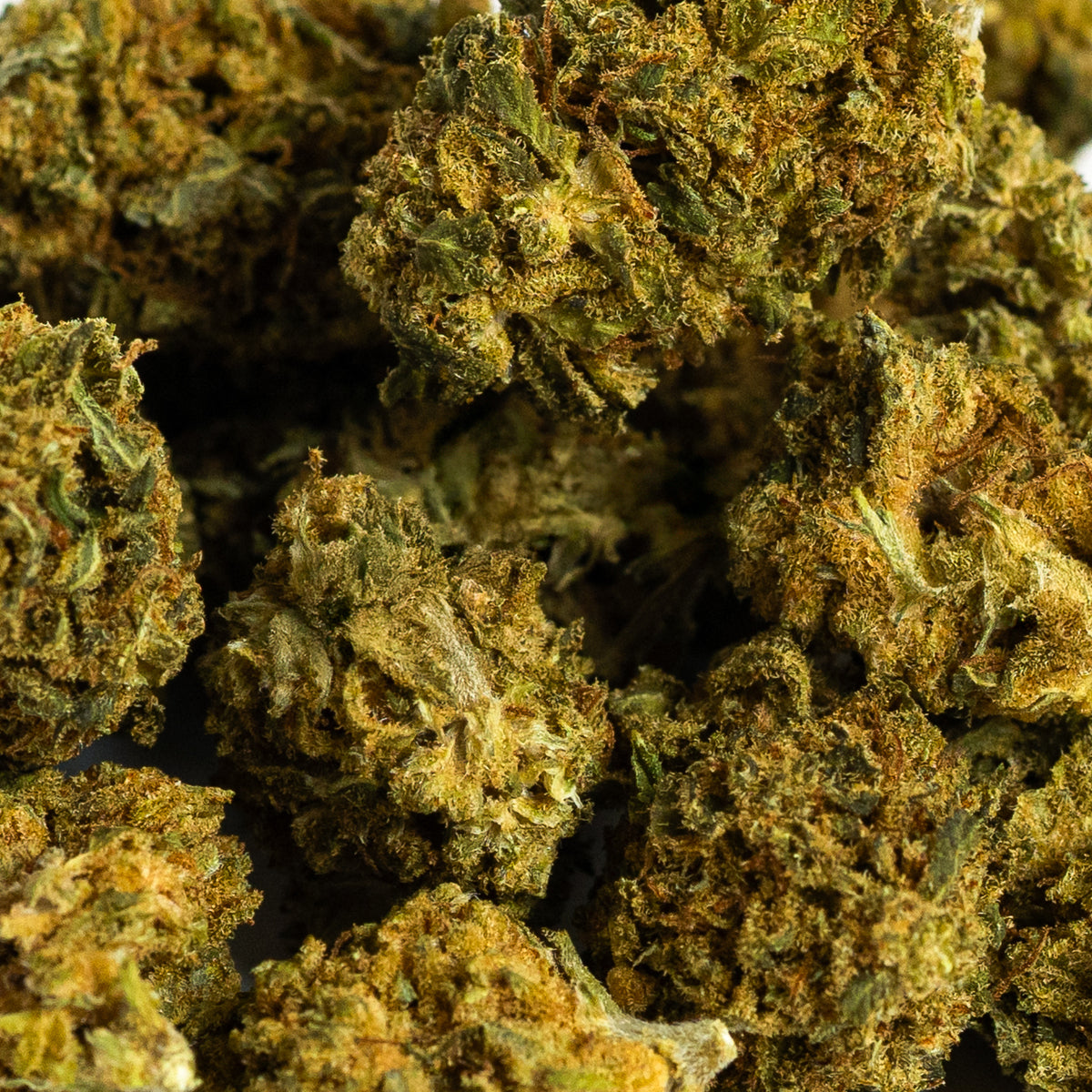 Pipocas de Limão da Iberohemp CBD (30g-500g)