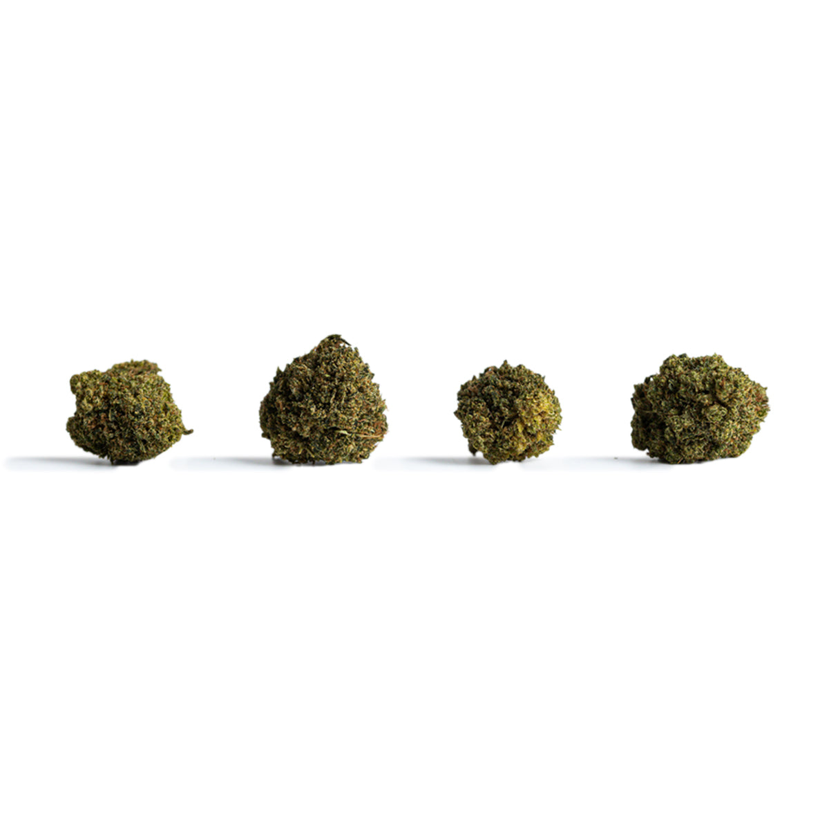 Pop Cannatonic Runtz - Nueva Variedad con aroma dulce a golosina