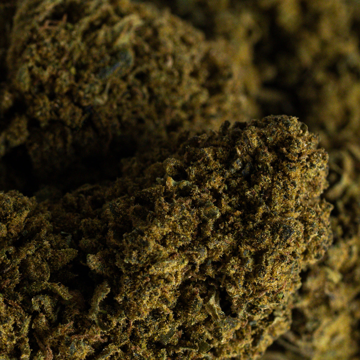 Zigulí Plus CBD