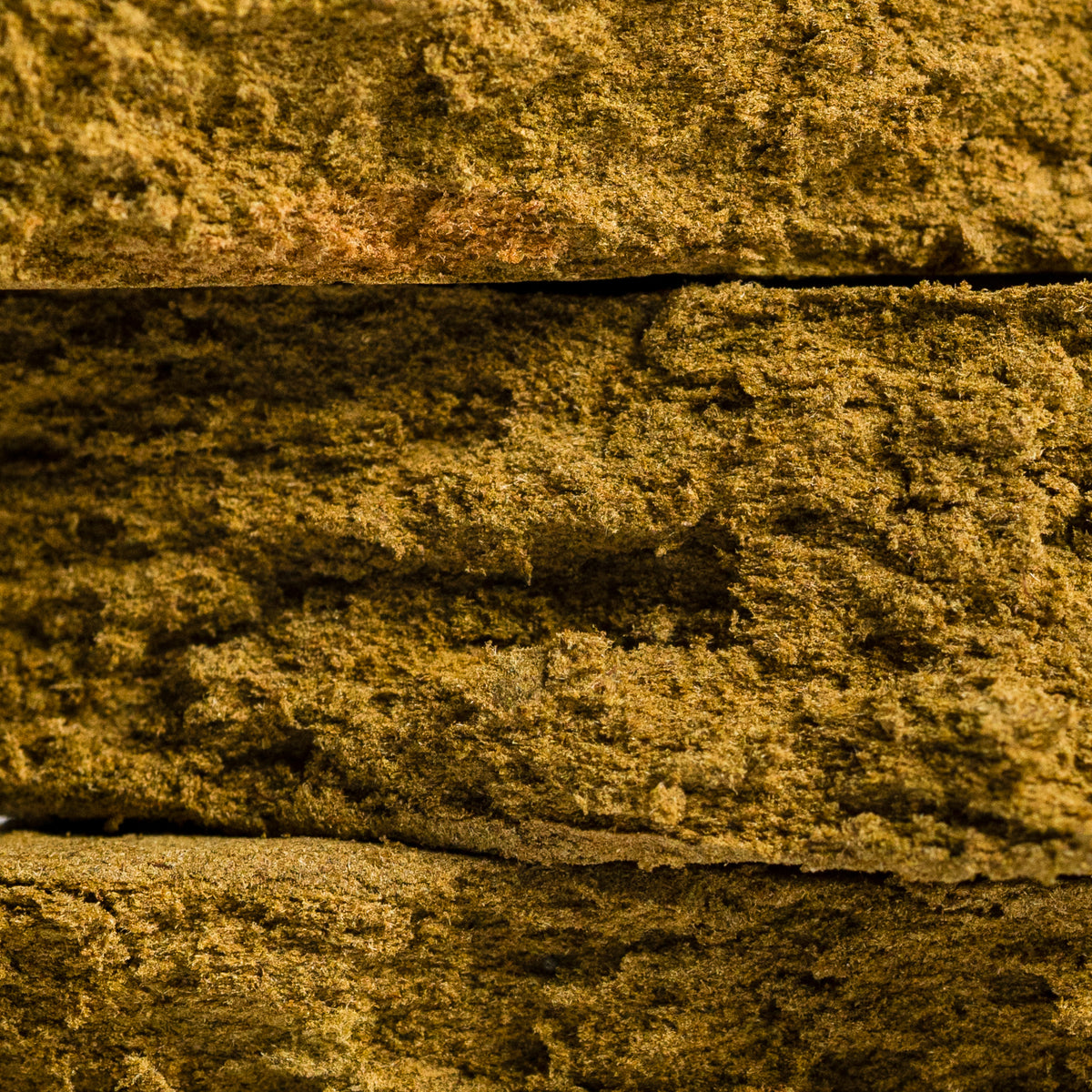 Fresh Frozen Dry Sift CBD 2