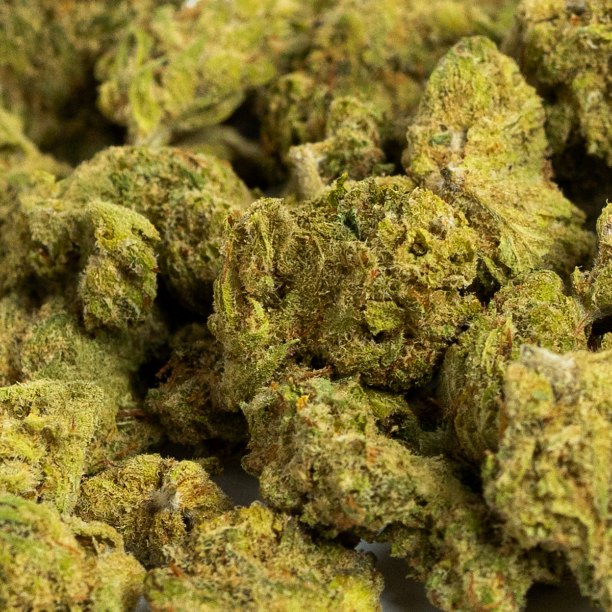 PopCorn Northern lights - Iberohemp CBD