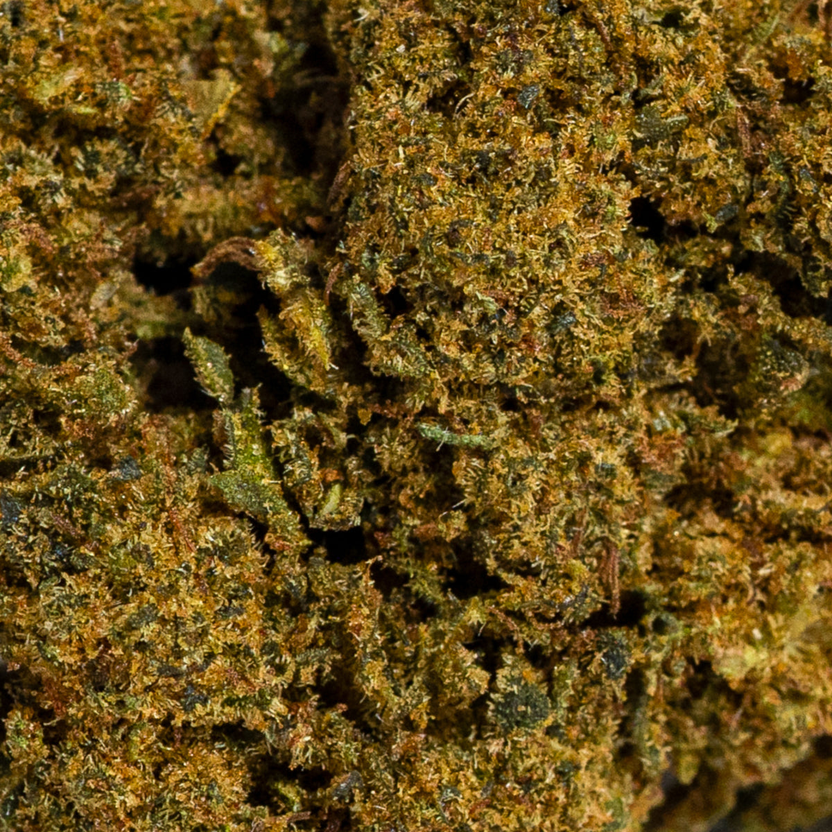 SugarCream CBD ( 10g-500g)