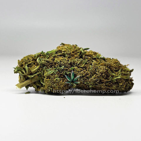 Moose CBD (10g-500g)