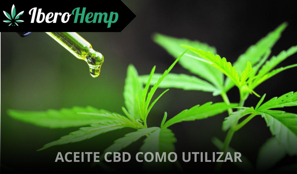 ¿Cómo usar el aceite de CBD? Para principiantes