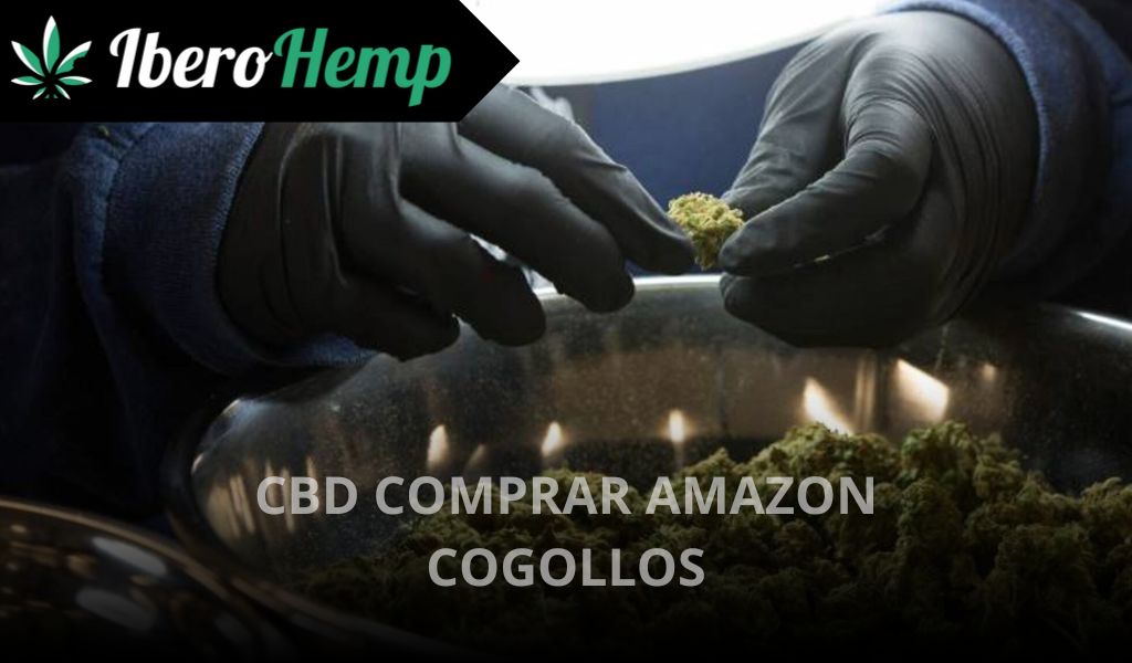 CBD comprar Amazon cogollos: Todo lo que necesitas saber