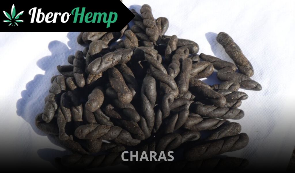 Charas: Todo lo que necesitas saber sobre este producto de calidad