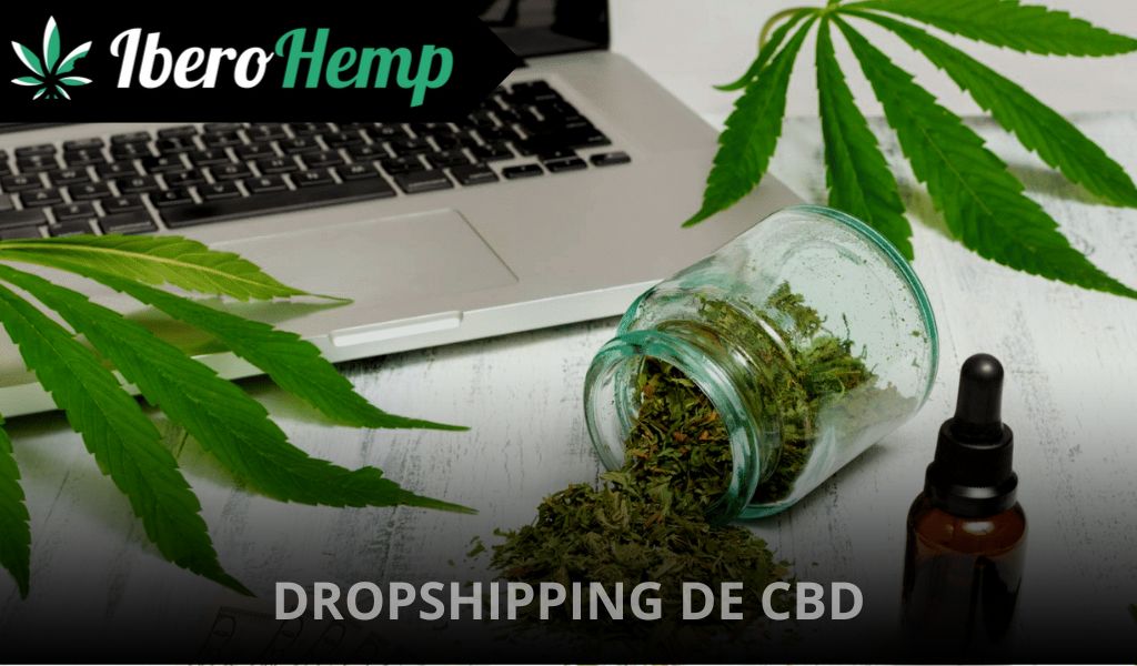 Alternativas al dropshipping de CBD más rentables