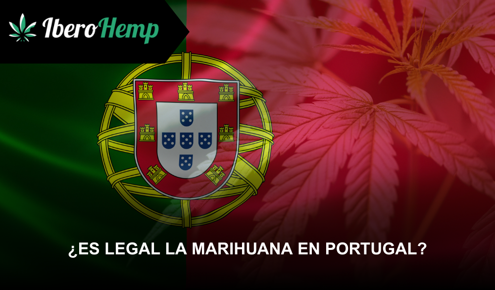 ¿Es legal la marihuana en Portugal? Todo lo que debes saber