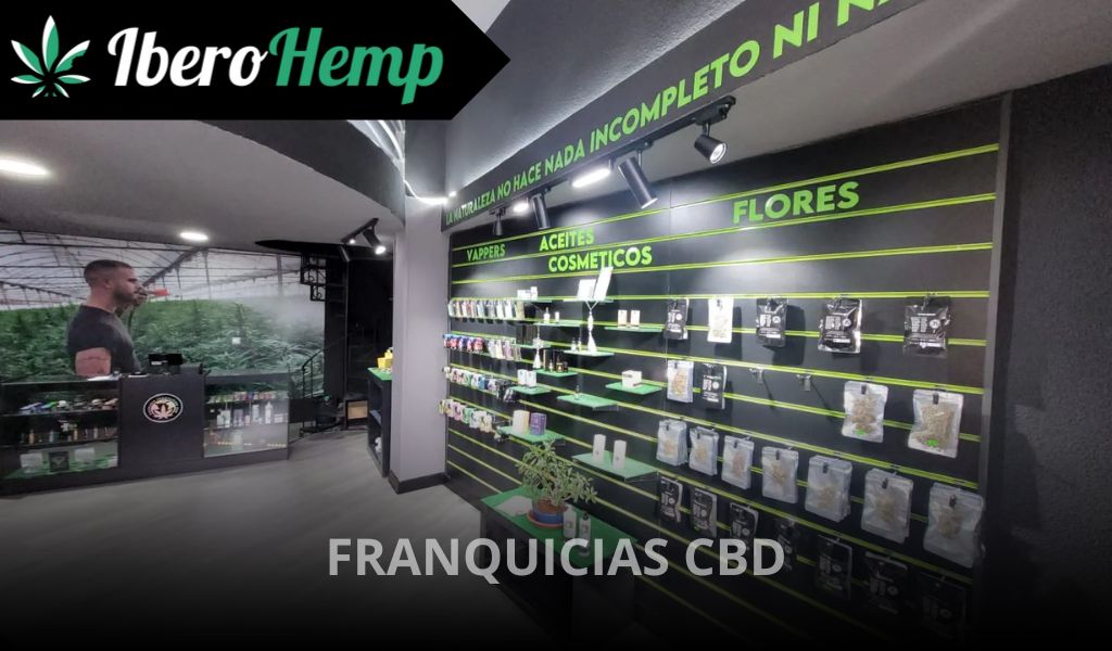 Franquicias CBD: Guía completa para emprender en el sector en España