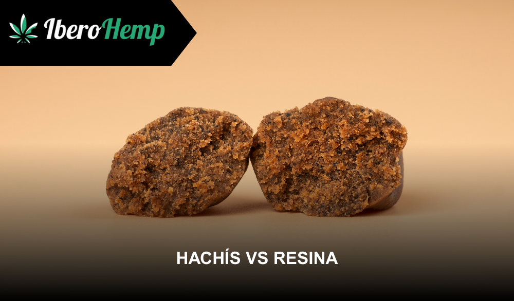 Hachís vs resina: ¿qué comprar?