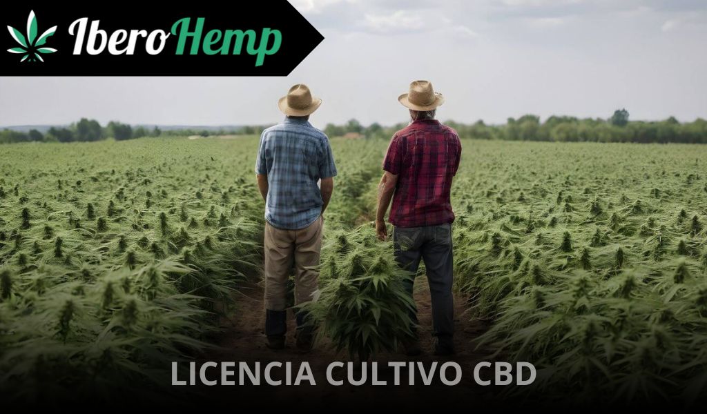 ¿Qué permisos o licencias se necesitan para cultivar CBD en España?