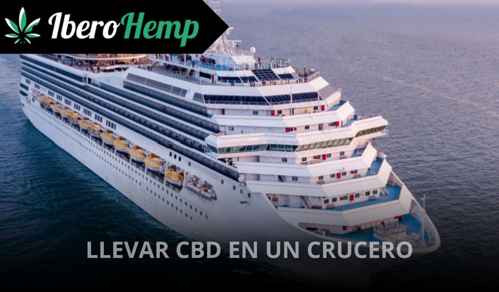 ¿Se puede llevar CBD en un crucero? Legalidad 2025