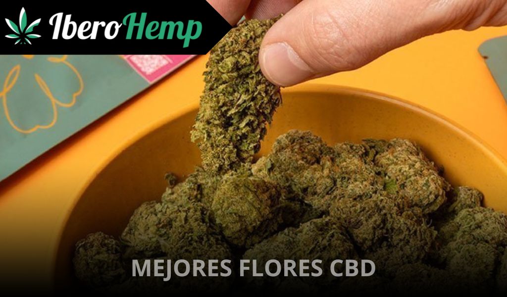 Las mejores flores de CBD 2025: Ranking de cogollos