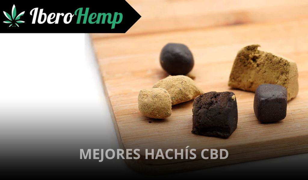 ¿Cuál es el mejor hachís CBD? Lo mejor de España