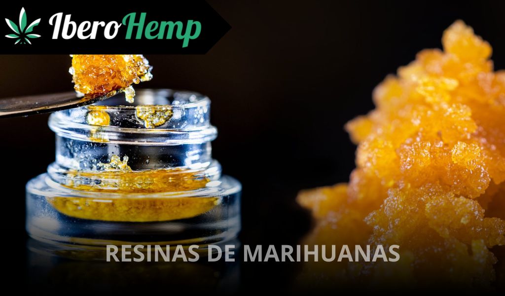 Resina de marihuanas: ¿Qué es y cómo se consiguen?