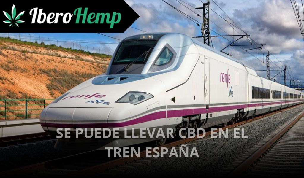 ¿Se puede llevar CBD en un tren en España y Europa? Legalidad 2025