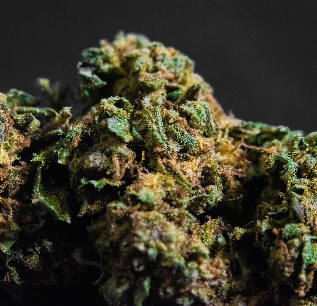 PopCorn CBD