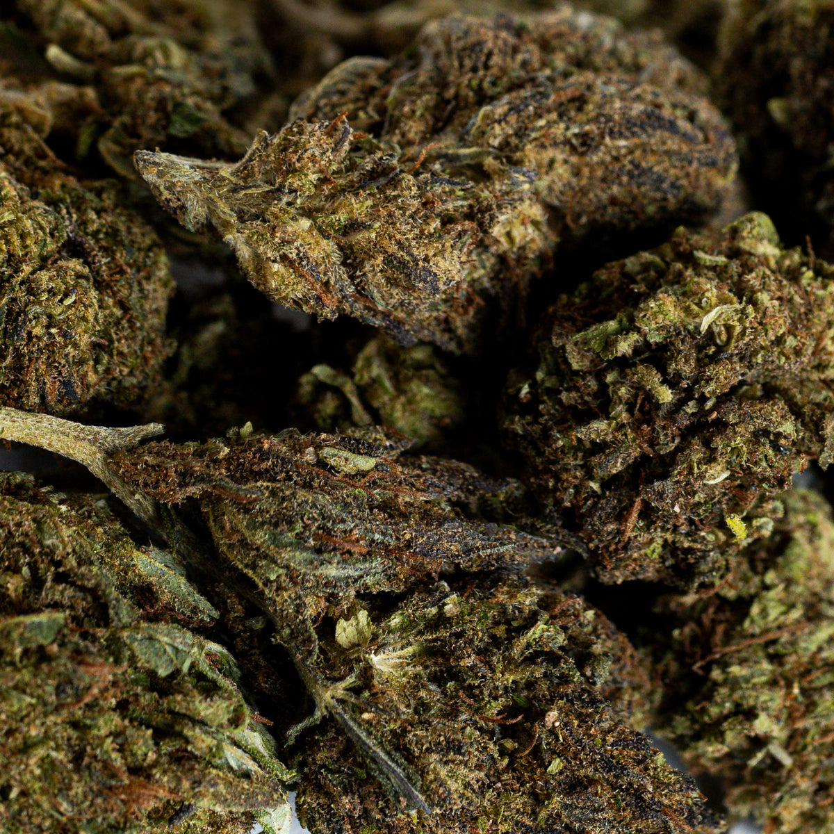 Acid Diesel CBD