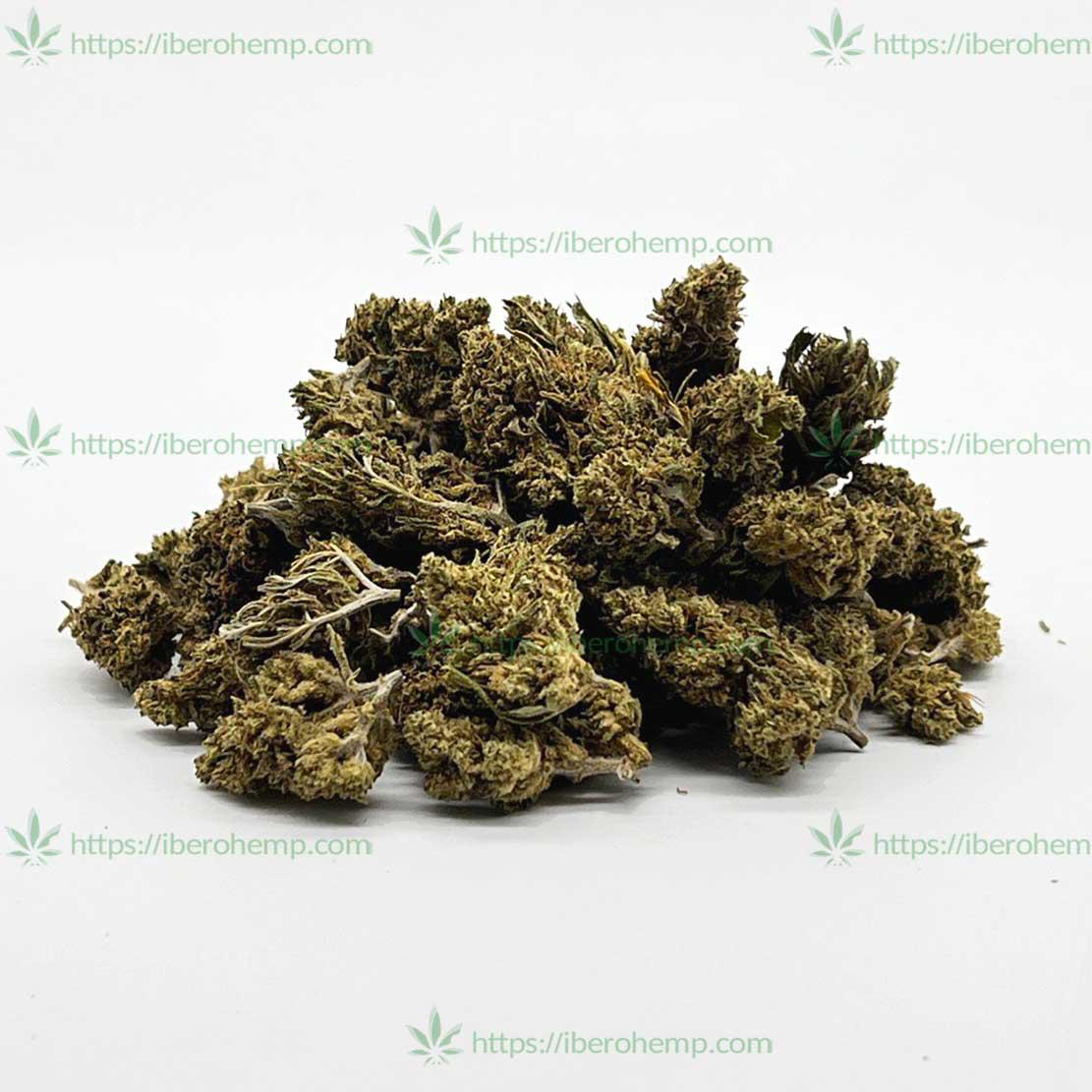 PopCorn Kiwi de Iberohemp CBD (30g-500g)